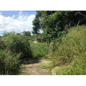 San Fernando del Guapo (Mir.)