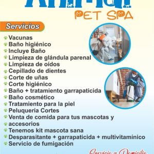 Pi 01-3246: Miguel Ángel Hernández